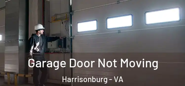  Garage Door Not Moving Harrisonburg - VA