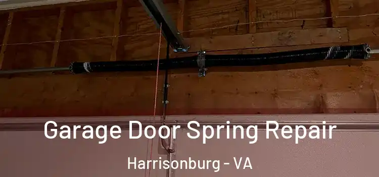  Garage Door Spring Repair Harrisonburg - VA