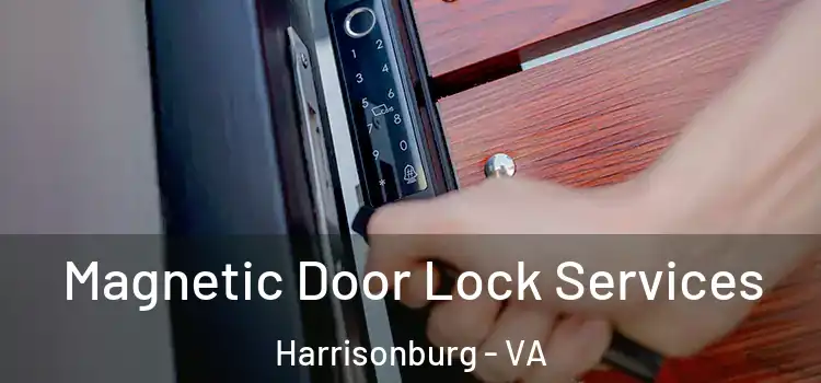 Magnetic Door Lock Services Harrisonburg - VA