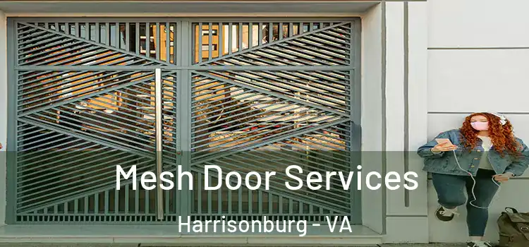 Mesh Door Services Harrisonburg - VA