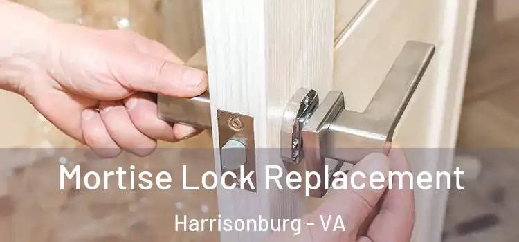 Mortise Lock Replacement Harrisonburg - VA