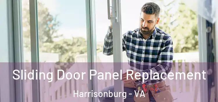  Sliding Door Panel Replacement Harrisonburg - VA